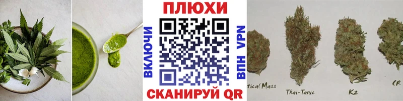 Cannafood конопля  Купить где  Избербаш 
