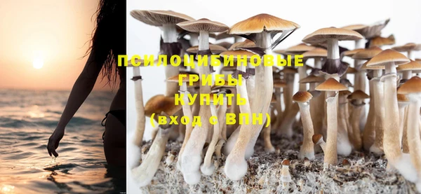 мдпв Остров