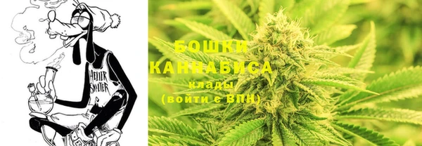 гидра Осташков