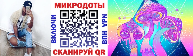 Галлюциногенные грибы MAGIC MUSHROOMS  Купить закладки  Избербаш 
